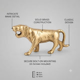 Tiger Brass Big