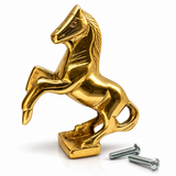 Horse Sitting