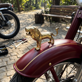 Babbar Medium New