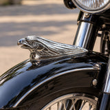 Eagle New Mudguard CP