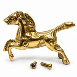 Horse Running