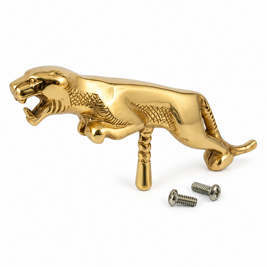 Jaguar Big Br