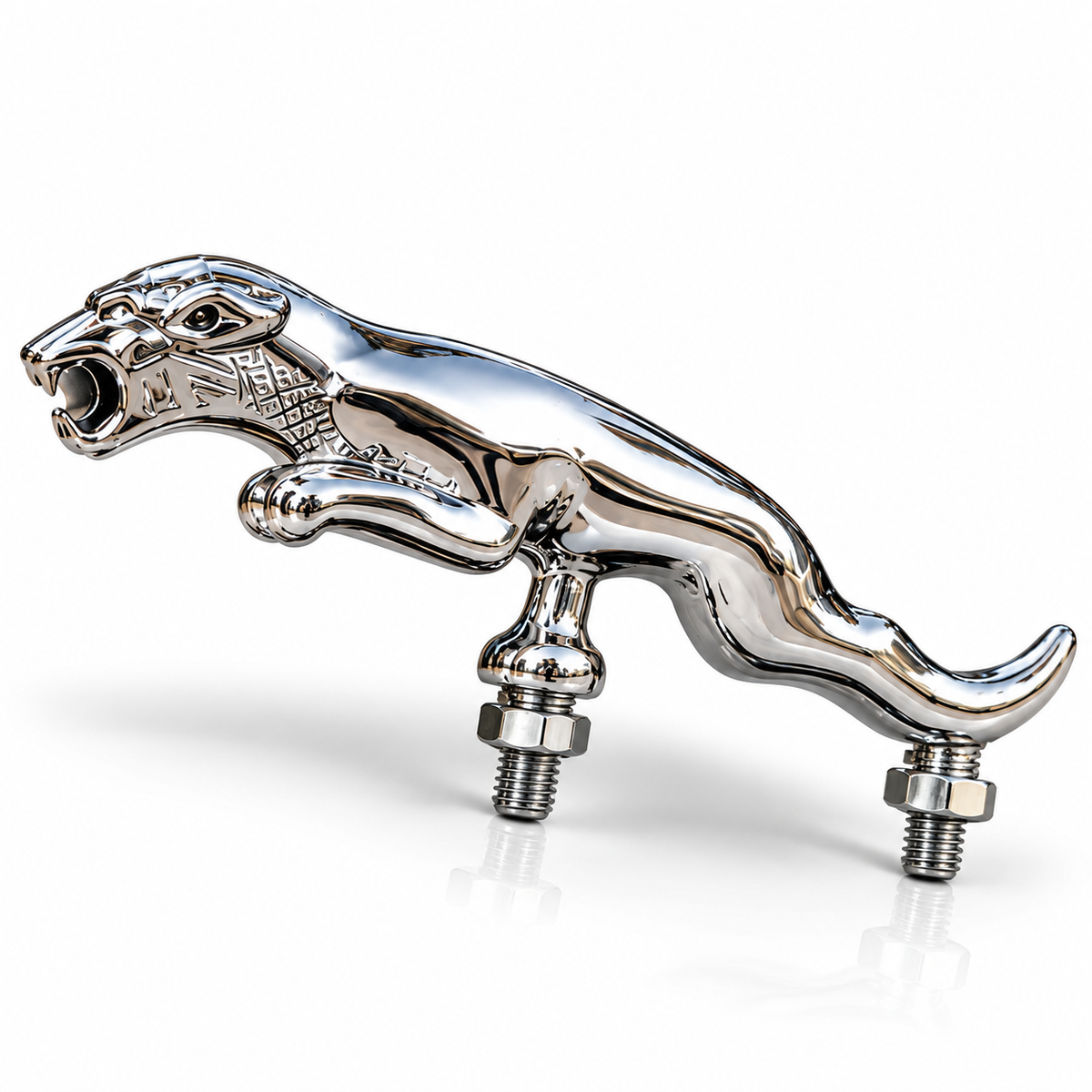 Jaguar nut CP