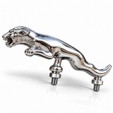 Jaguar nut CP