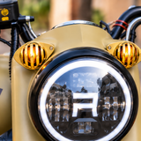 Parking Grill Reborn Brass