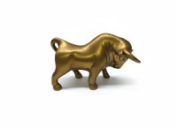 Bull Tucker [Medium]