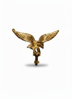 Eagle [Medium]